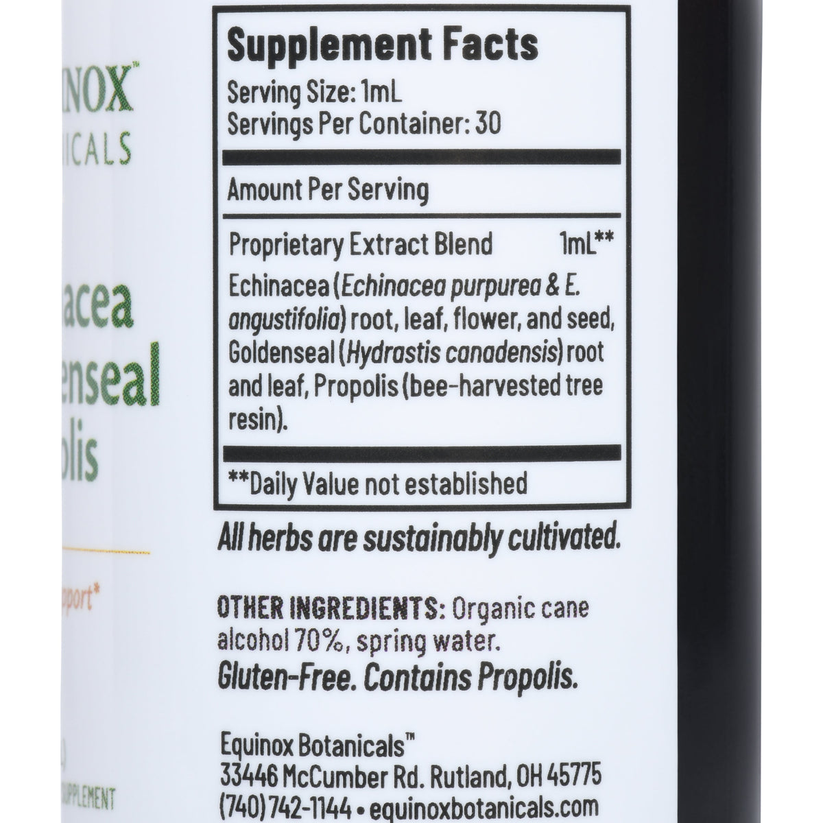 Equinox Botanicals Echinacea, Goldenseal & Propolis, 1 fl oz
