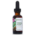 Equinox Botanicals Echinacea, Goldenseal & Propolis, 1 fl oz