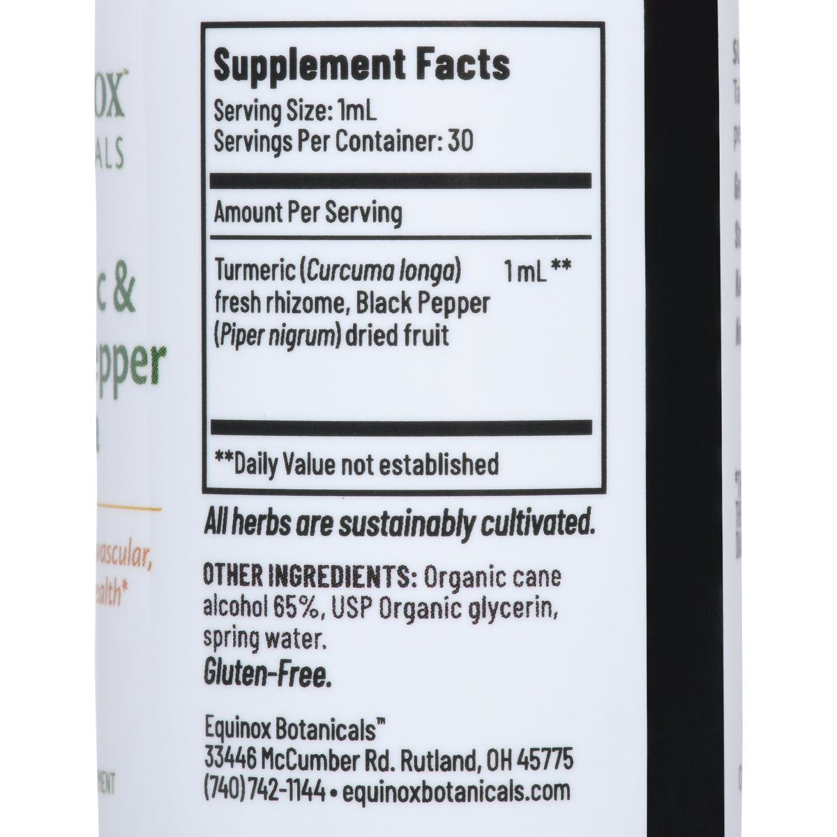 Equinox Botanicals Turmeric & Black Pepper Formula, 1 fl oz