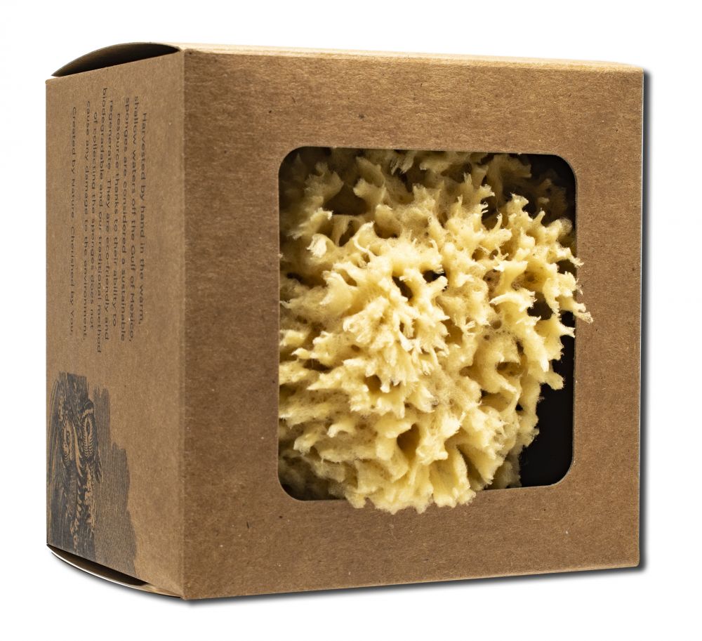 Baudelaire Wool Bath Sponge Small – 4.5 inch Gift Box