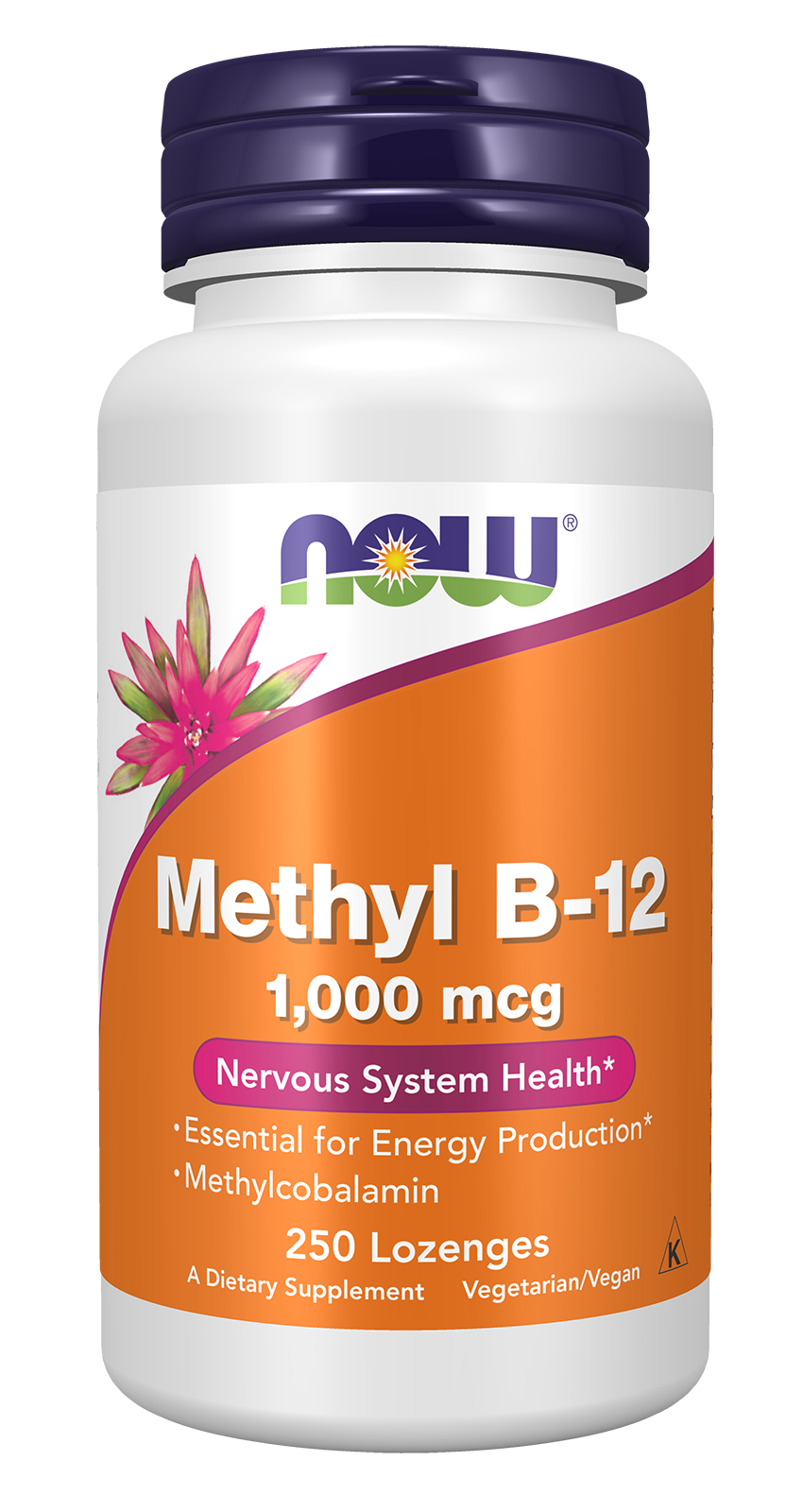 NOW Foods Methyl B-12 1,000 mcg - 250 Lozenges front package image
