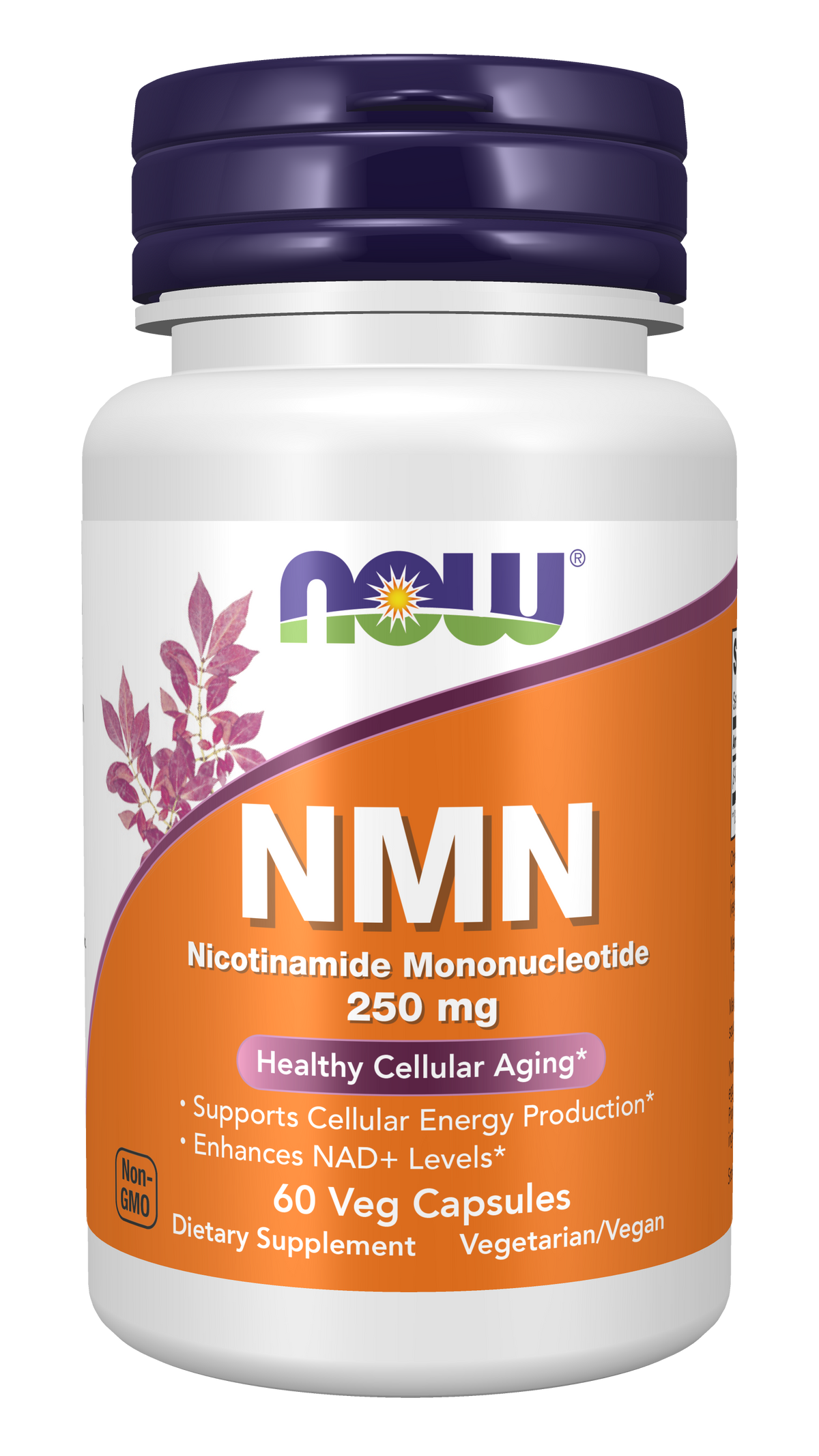 NOW Foods NMN 250 mg - 60 Veg Capsules front package image