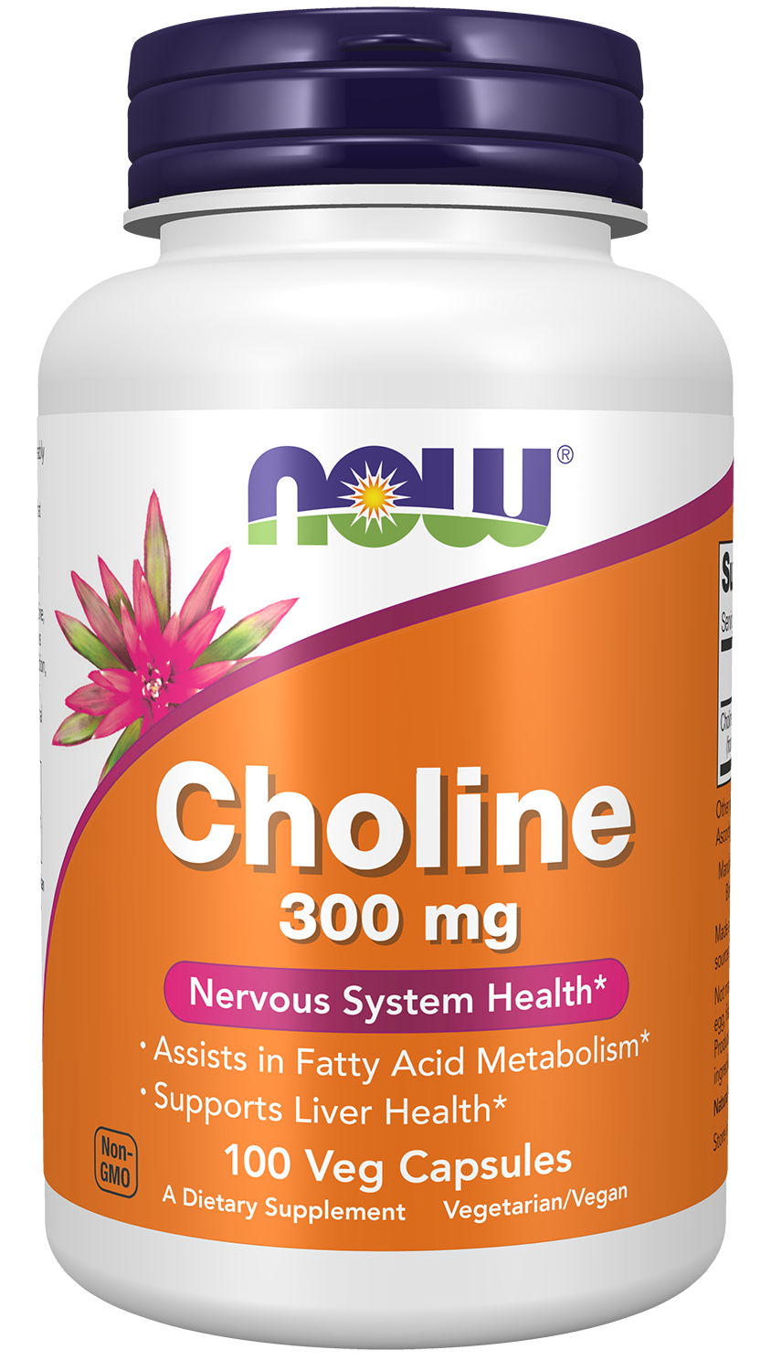 NOW Foods Choline 300 mg - 100 Veg Capsules front package image