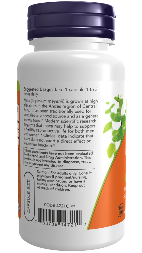 NOW Foods Intestinal Bacteria Support 60 Veg Capsules