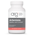 Allergy Research Group Artemisia 100 Vegetarian Capsules