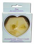 Auroshikha Hexagon Terra Cotta (3 in x 1 in) Flower Candle Pine