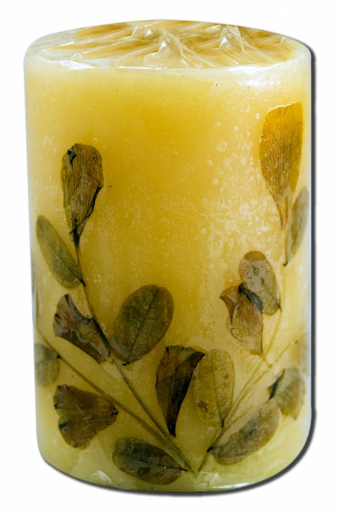 Auroshikha Cylindrical (1.75 in x 2.75 in)(4.6 cm) Flower Candle Tuberose