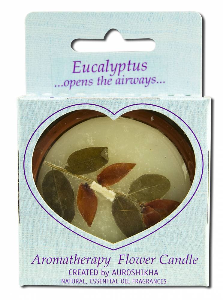 Auroshikha Medium Terra Cotta (2.5 in x 1in) Round Flower Candle Eucalyptus