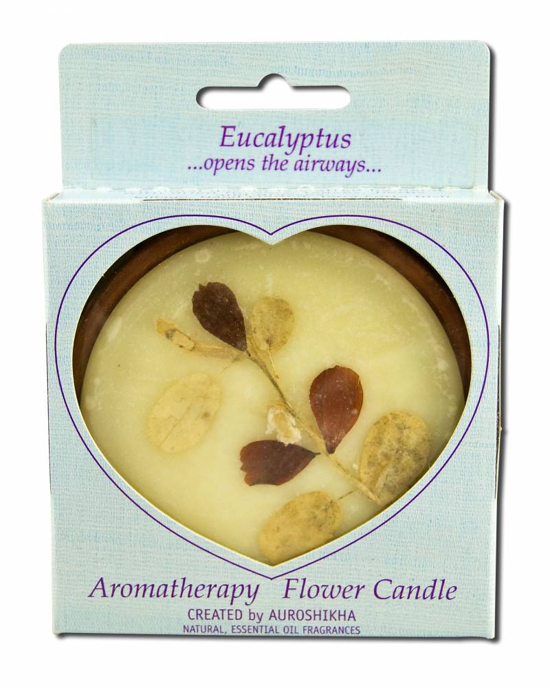 Auroshikha Large Terra Cotta (3.63 in x 1 in) Round Flower Candle Eucalyptus