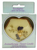 Auroshikha Hexagon Terra Cotta (3 in x 1 in) Flower Candle Eucalyptus