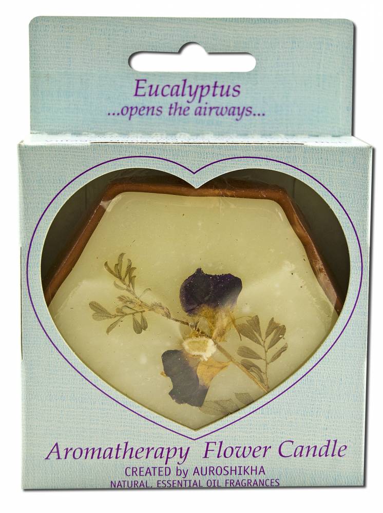 Auroshikha Hexagon Terra Cotta (3 in x 1 in) Flower Candle Eucalyptus