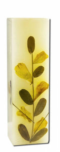 Auroshikha Square (1.5 in x 4.75 in) Flower Candle Eucalyptus