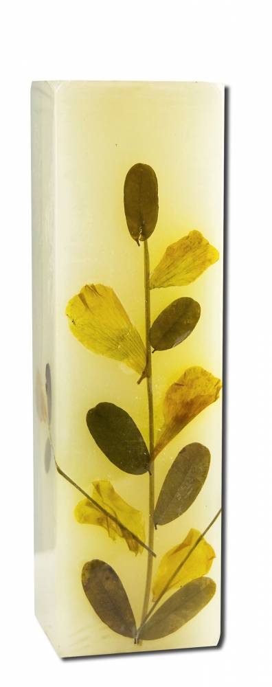 Auroshikha Square (1.5 in x 4.75 in) Flower Candle Eucalyptus
