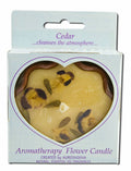 Auroshikha Flower Shape Terra Cotta (3.38 in x 1 in) Flower Candle Cedar