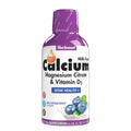 Bluebonnet Liquid Calcium Magnesium Citrate & Vitamin D3 Blueberry 16 fl oz