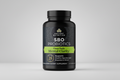 Black supplement bottle labeled 'SBO Probiotics' by Ancient Nutrition on a white background