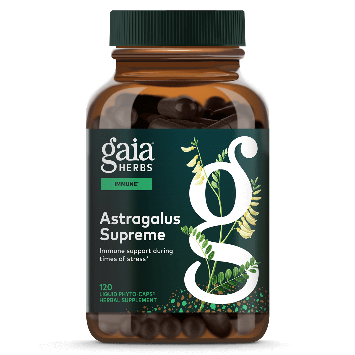 Gaia Herbs Astragalus Supreme - 120 ct - front package image