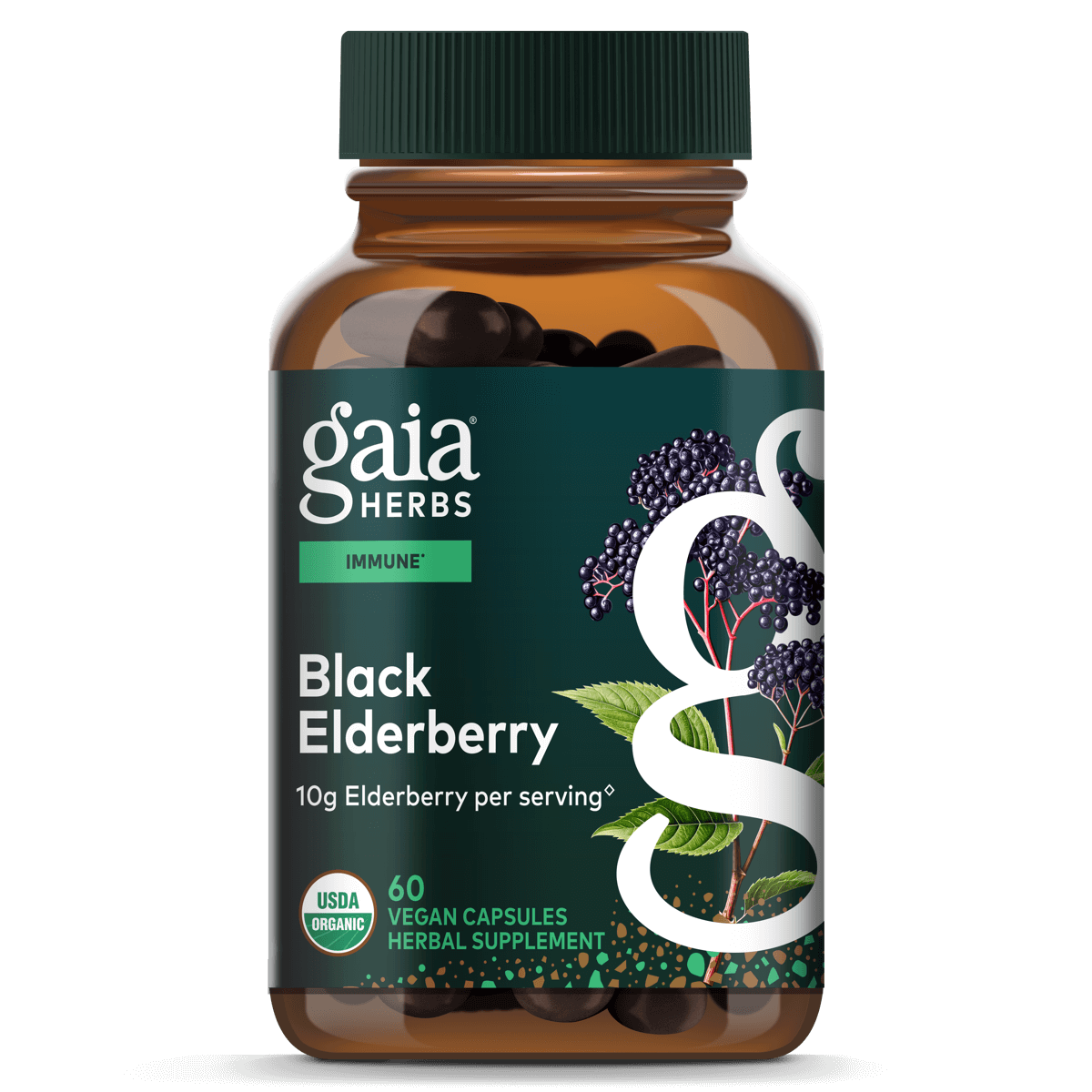 Gaia Herbs Black Elderberry - 60 ct - front package image
