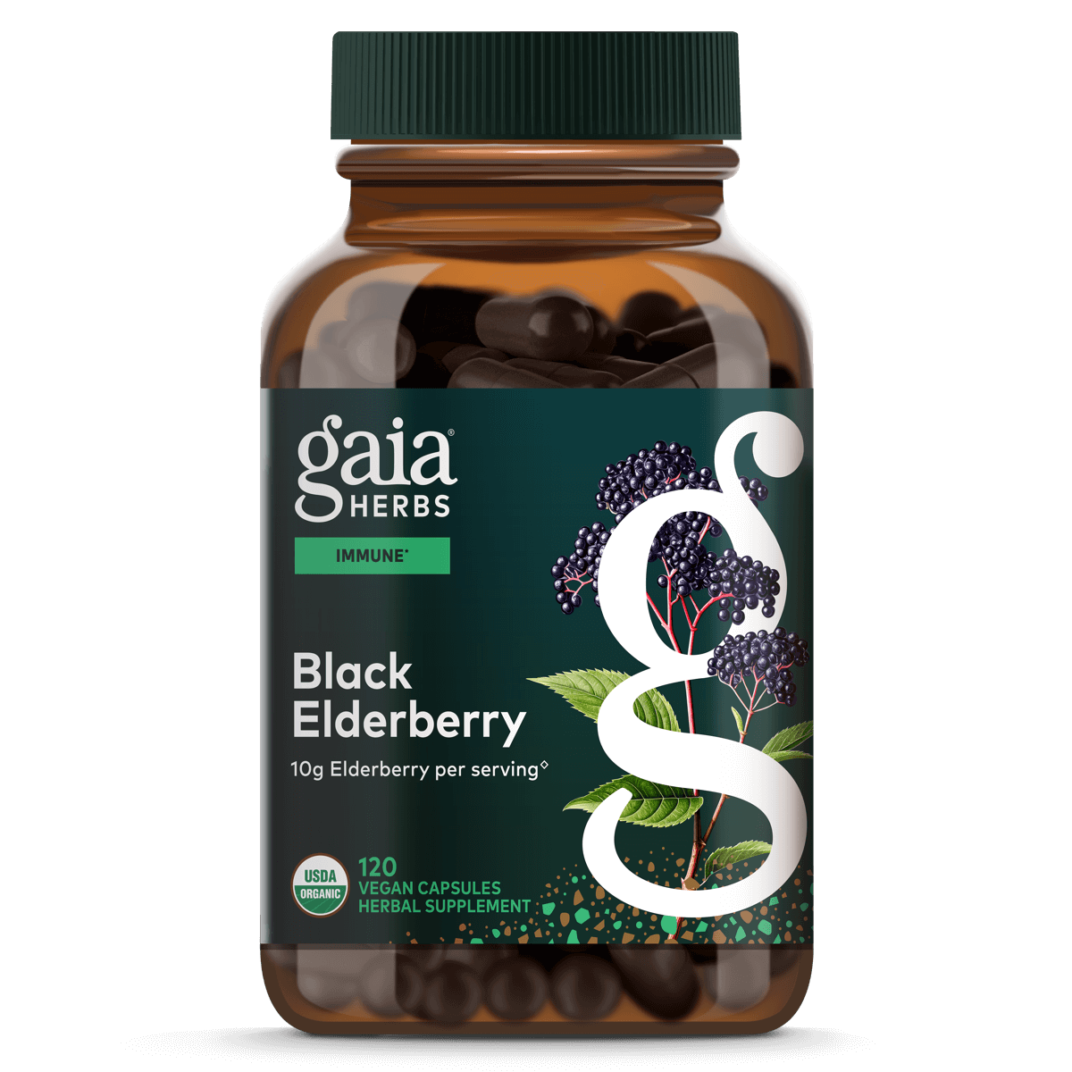 Gaia Herbs Black Elderberry - 120 ct - front package image