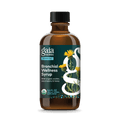 Gaia Herbs Bronchial Wellness Herbal Syrup - 5.4 oz - front package image