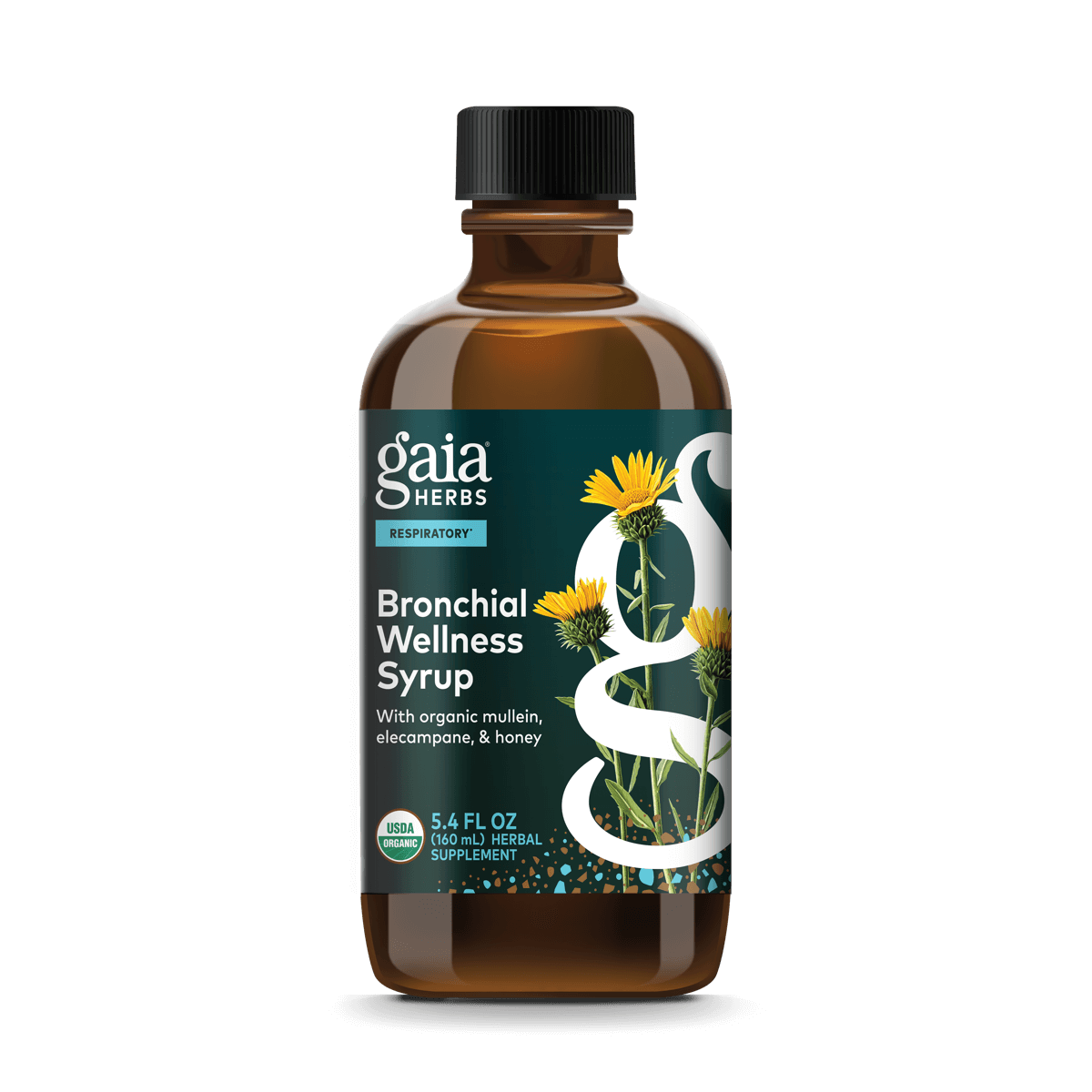 Gaia Herbs Bronchial Wellness Herbal Syrup - 5.4 oz - front package image