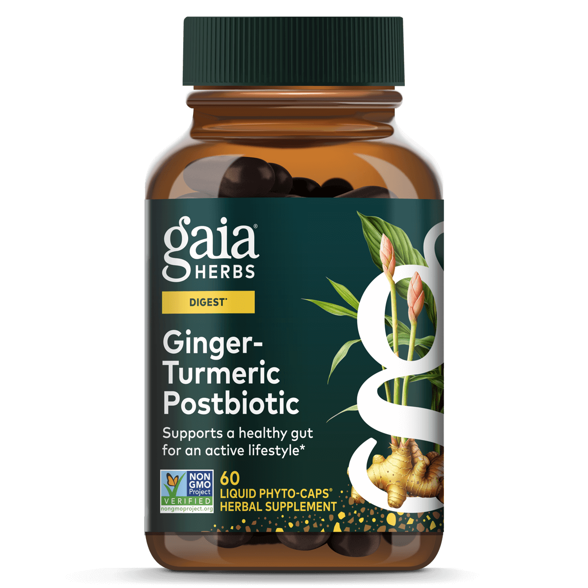Gaia Herbs Ginger - Turmeric Postbiotic - 60 ct - front package image