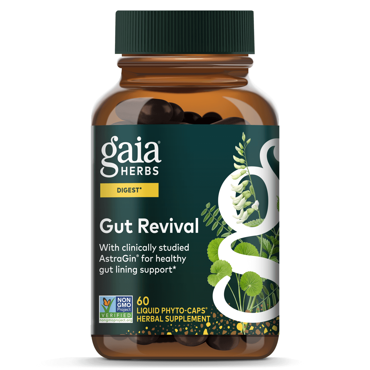 Gaia Herbs Gut Revival LP Caps - 60 ct - front package image