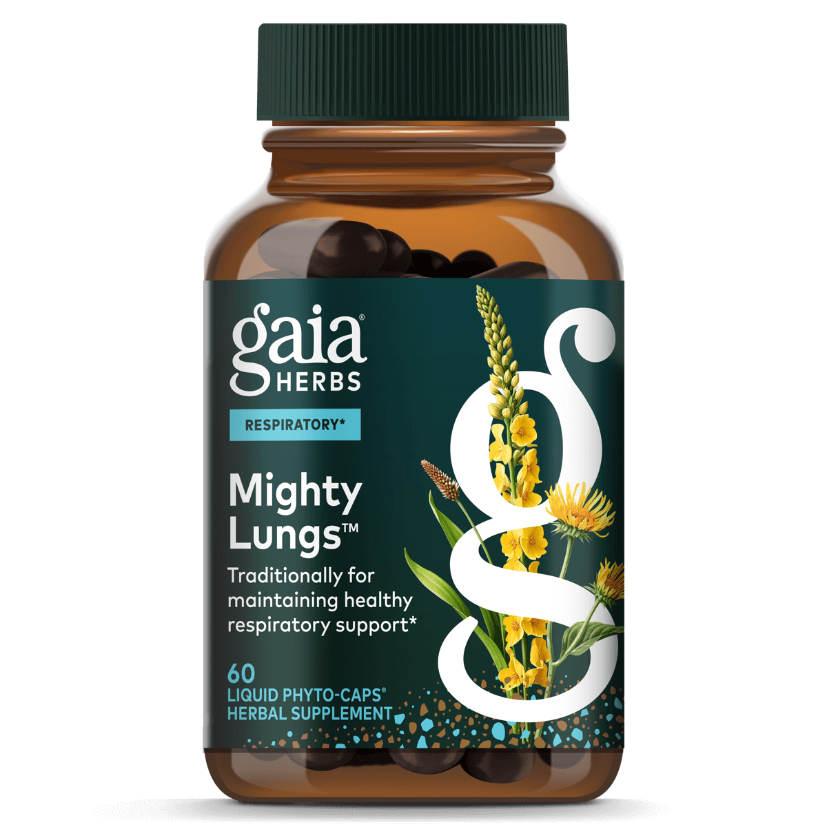Gaia Herbs Mighty Lungs™ - 60 ct - front package image