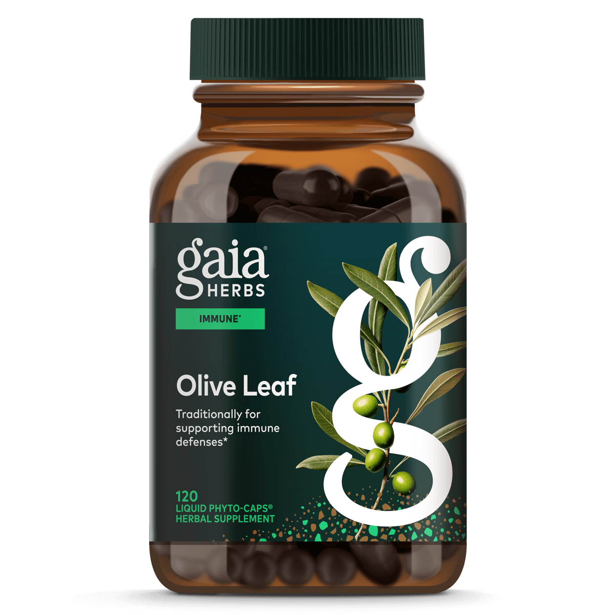 Gaia Herbs Olive Leaf - 120 ct - front package image