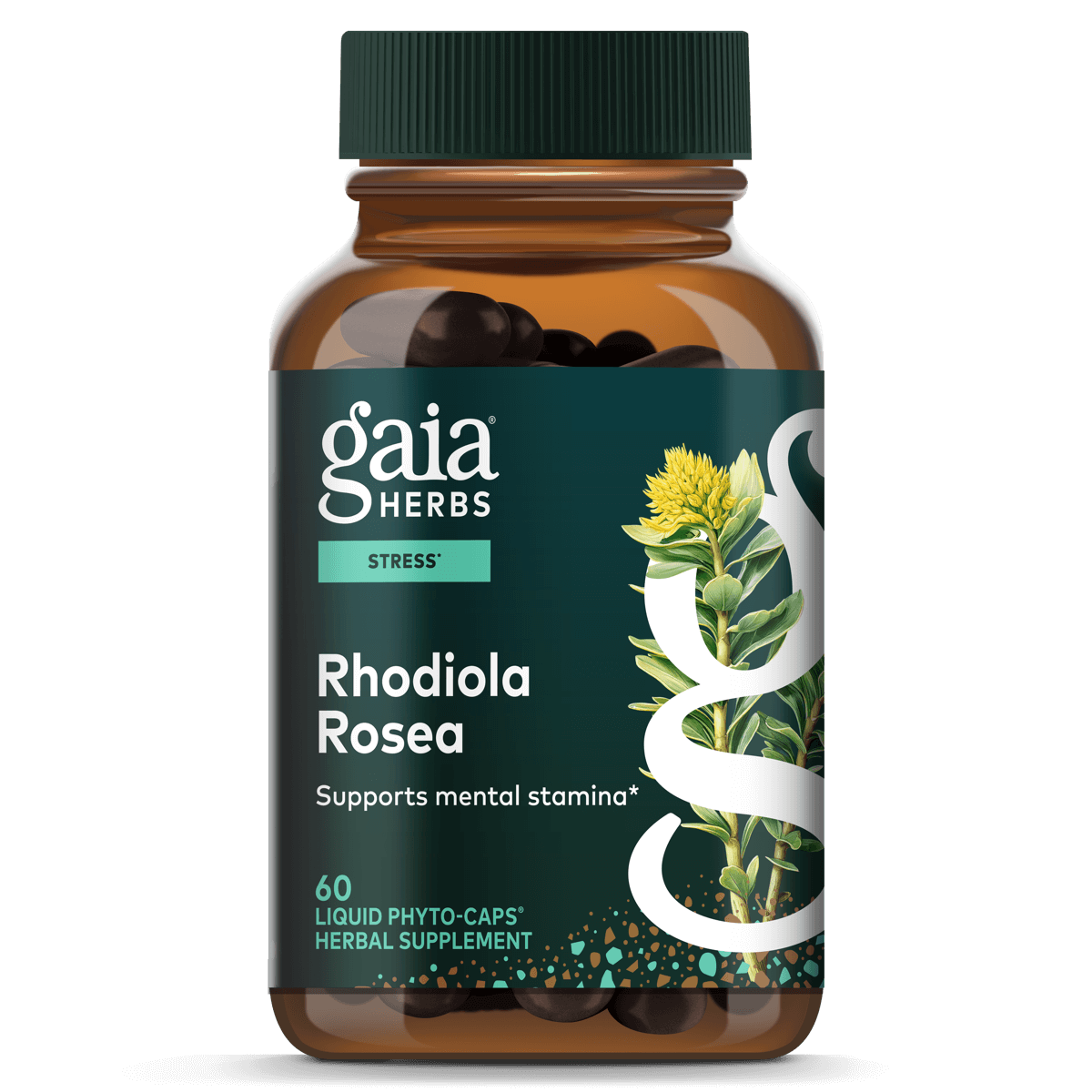 Gaia Herbs Rhodiola Rosea - 60 ct - front package image