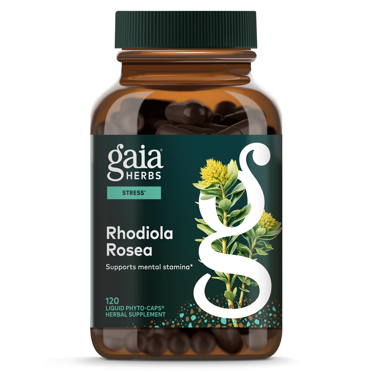 Gaia Herbs Rhodiola Rosea - 120 ct - front package image