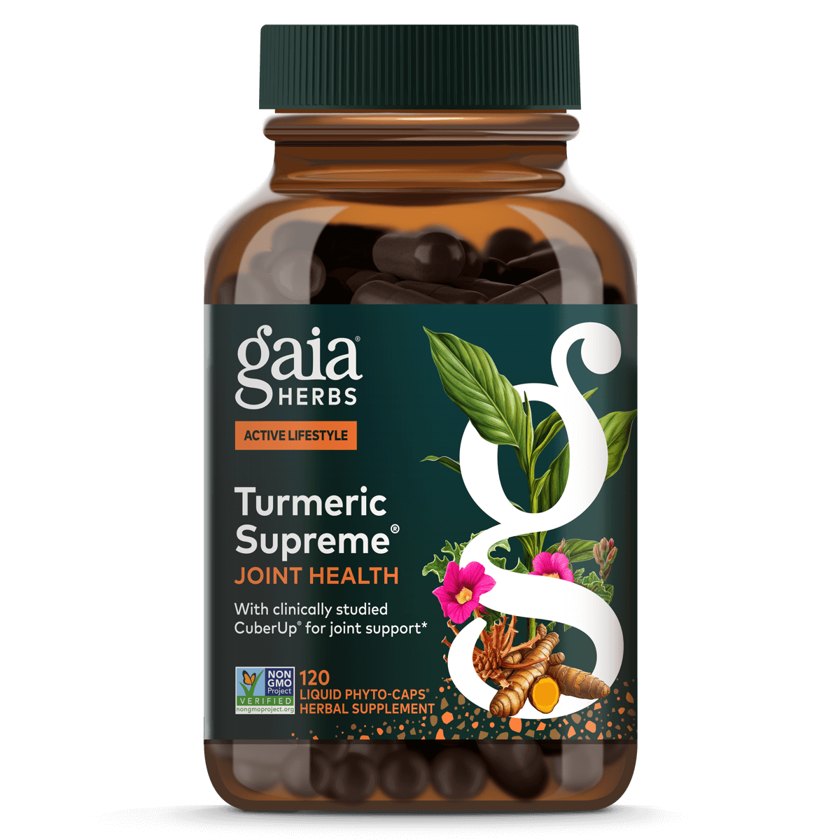 Gaia Herbs Turmeric Supreme® Joint - 120 ct - front package image