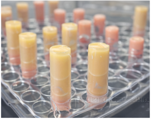 Multiple lip balm tubes in various colors on a metal tray