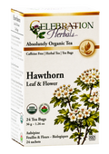 Celebration Herbals Organic Hawthorn Leaf & Flower Tea – 24 Tea Bags