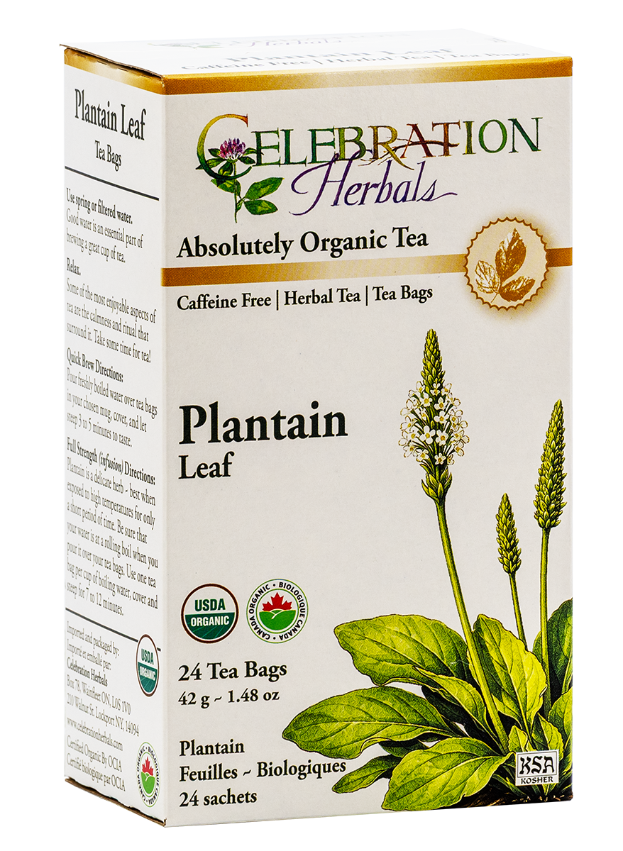 Celebration Herbals Organic Plantain Leaf Tea – 24 Tea Bags