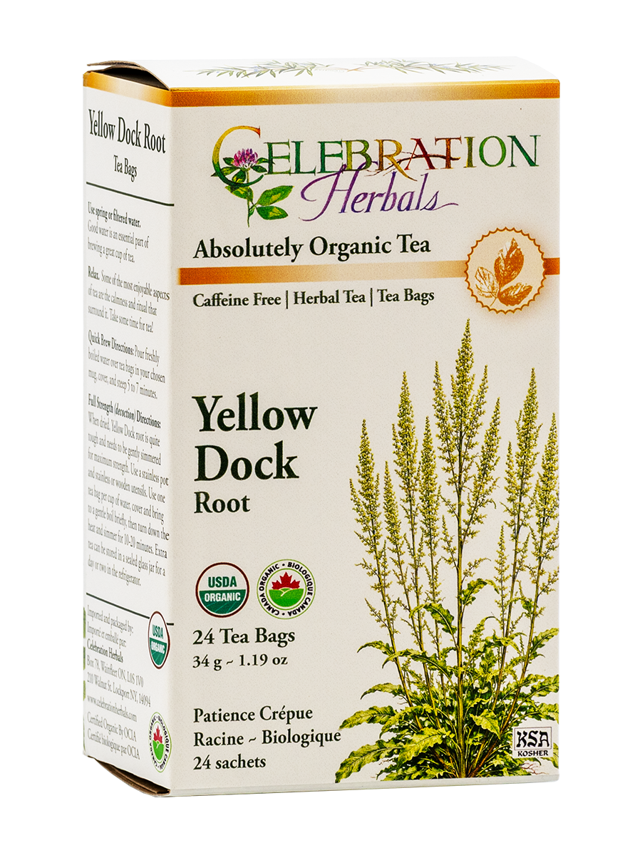 Celebration Herbals Organic Yellowdock Root Tea – 24 Tea Bags