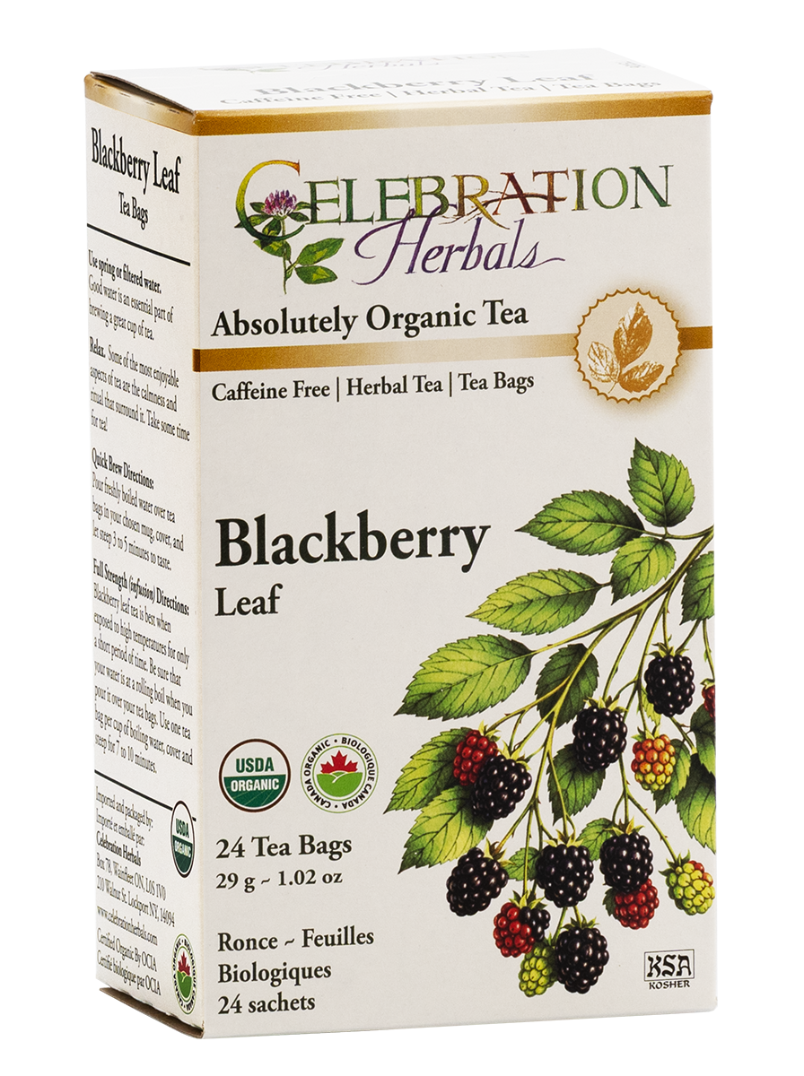 Celebration Herbals Organic Blackberry Leaf Tea – 24 Tea Bags
