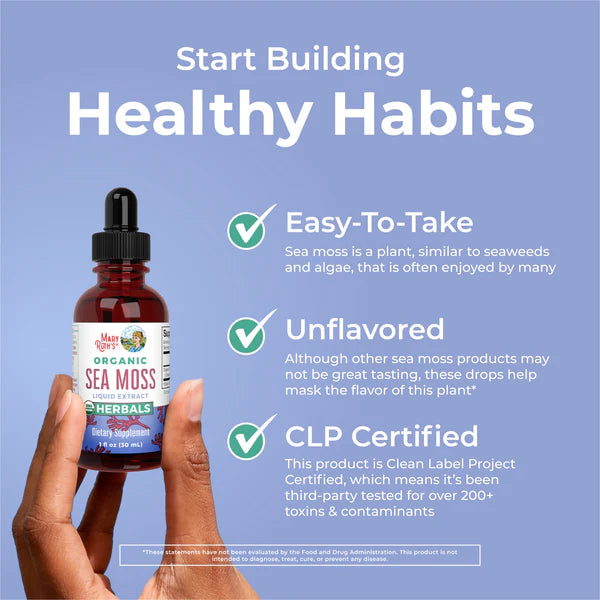 Hand holding a bottle of sea moss with product details on a blue background
