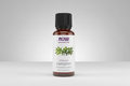 Bottle of NOW essential oils camphor on a white background