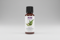 Bottle of NOW Essential Oils eucalyptus oil on a white background