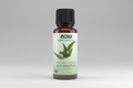 Bottle of NOW Eucalyptus essential oil on a white background