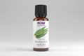 Bottle of NOW Eucalyptus radiata essential oil on a white background