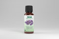 Bottle of NOW Lavender essential oil on a white background