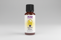 Bottle of NOW Essential Oils Mental Focus blend on a white background