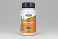 Goldenseal Root supplement bottle with label on a white background