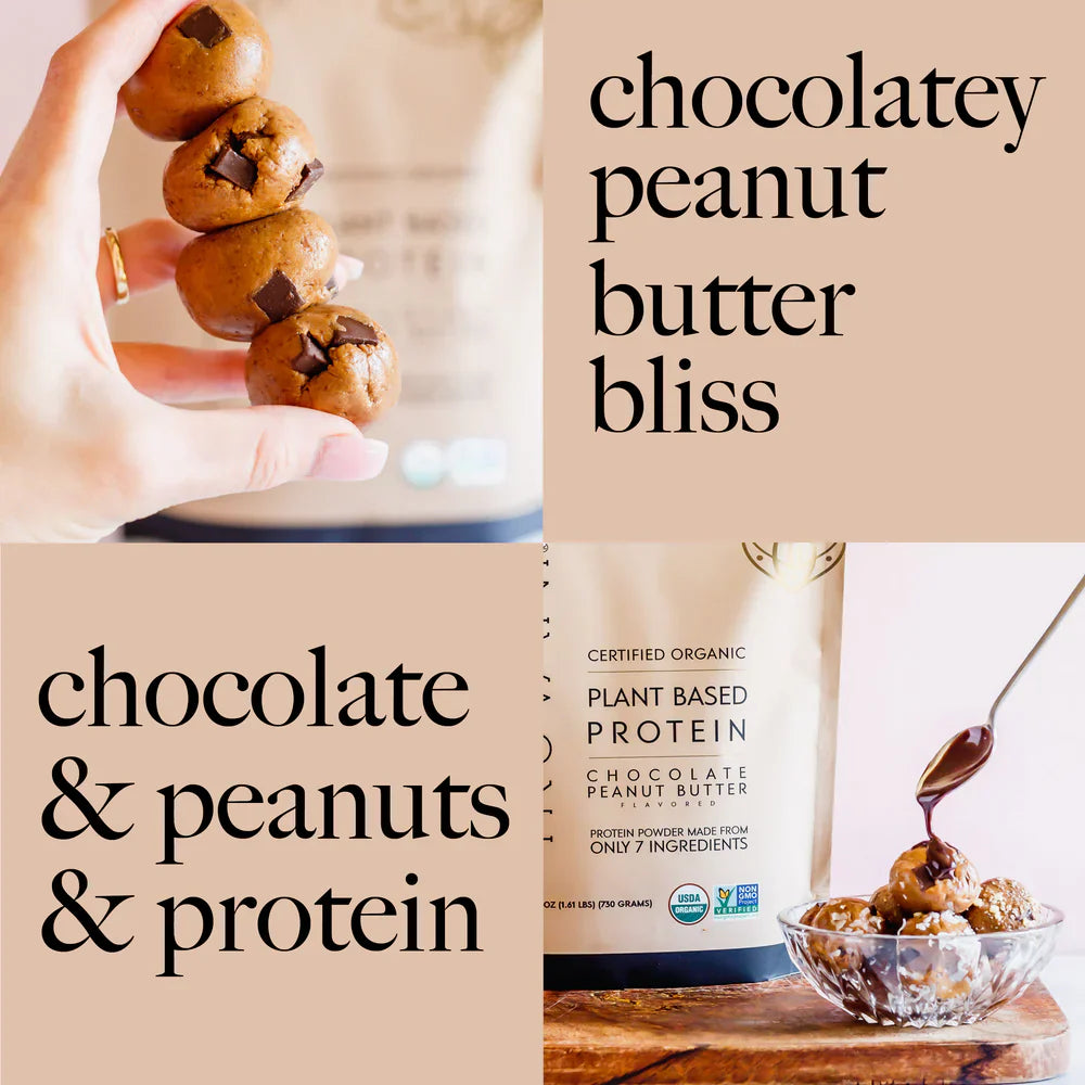 Truvani Chocolate Peanut Butter Plant Protein Powder - 20 Servings