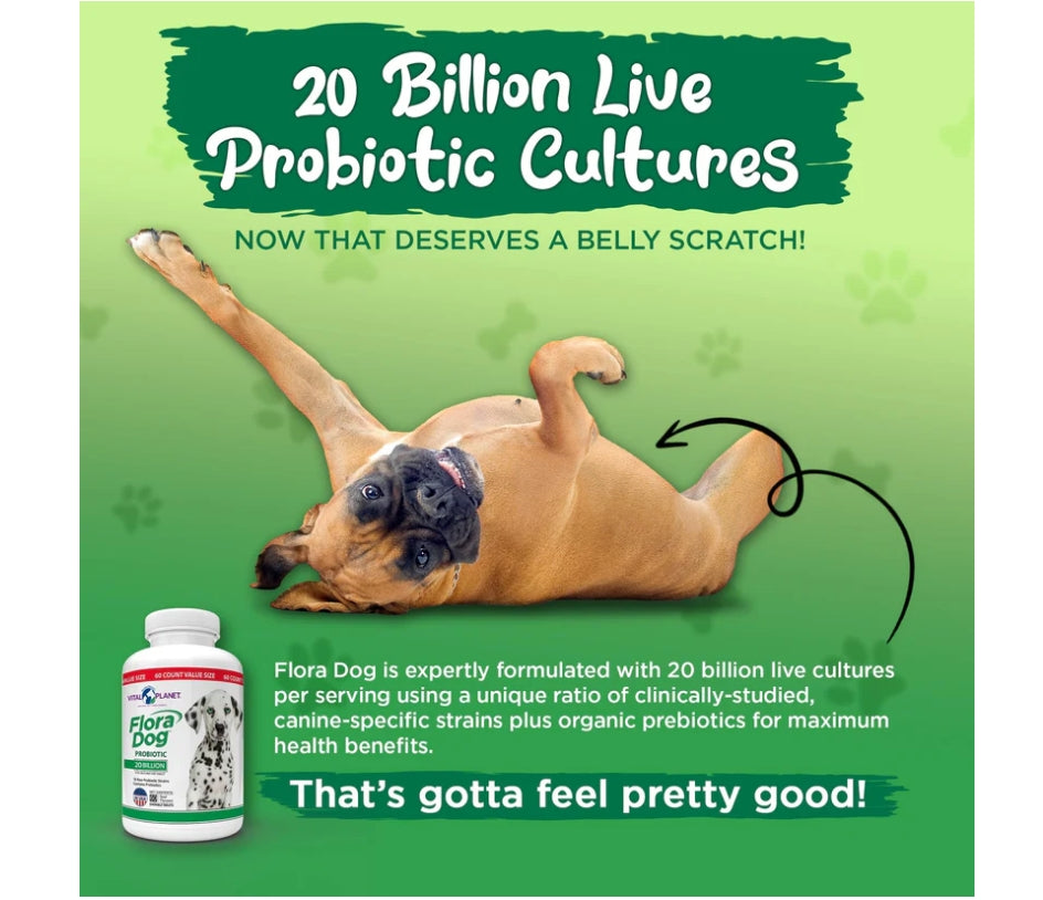 Vital Planet Flora DOG Probiotic 20B 10 Strain 60ct | Dog Gut Value