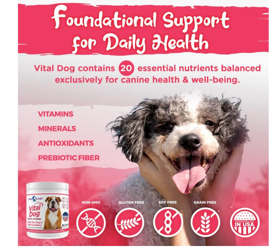 Vital Planet Vital DOG Multivitamin 75g | Comprehensive Dog Daily Vitamins