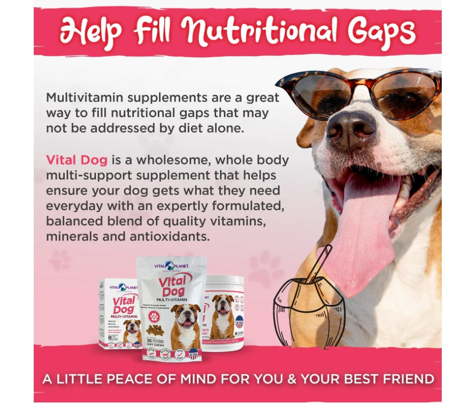 Vital Planet Vital DOG Multivitamin 75g | Comprehensive Dog Daily Vitamins