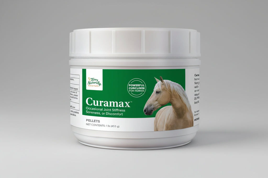 Jar of Curamax for horses with a green label and horse image on a white background